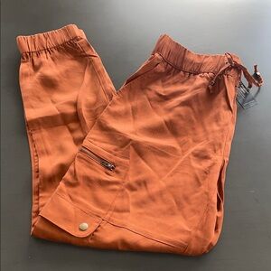 NWT Banana Republic Tencel Dress Cargo Pant